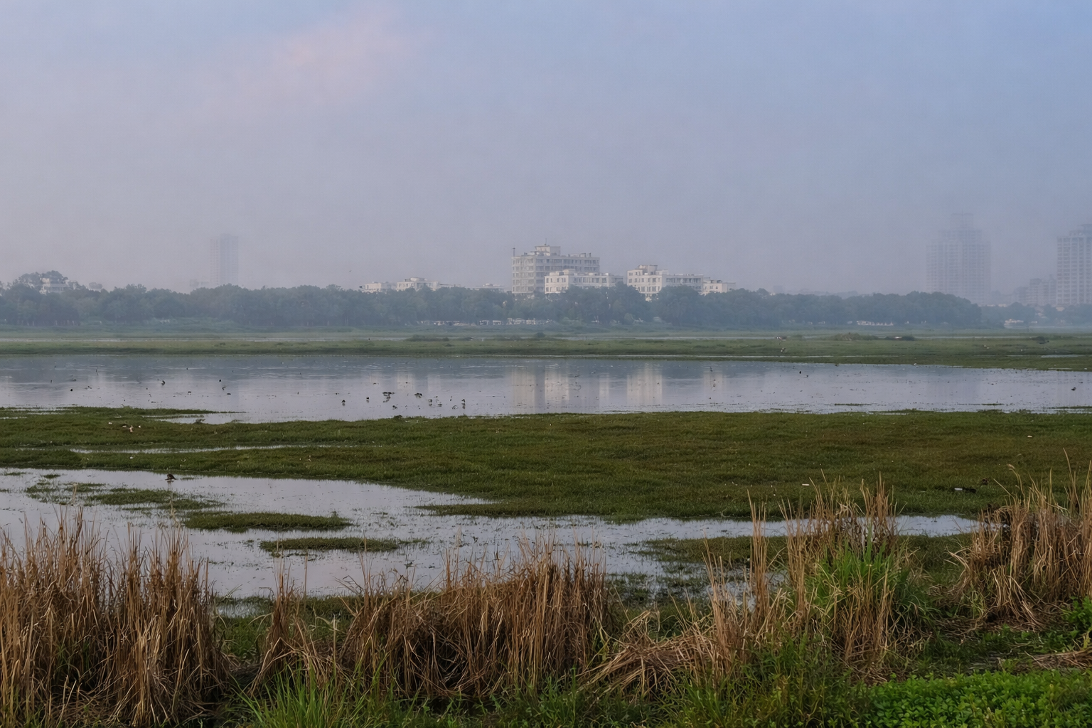 Wetlands as a national public good Wetlands as a national public good